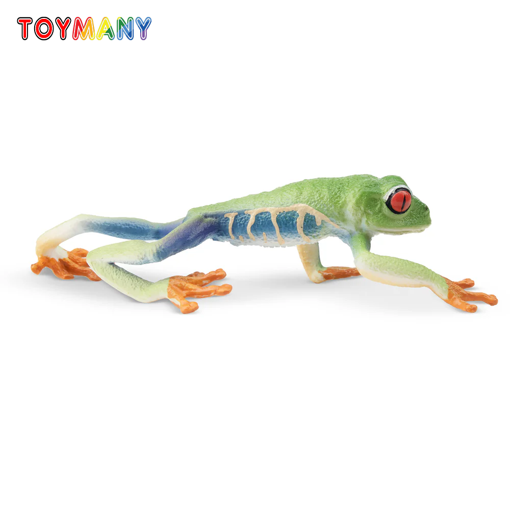Art Craft Eyes - Toymany simulación de rana de árbol