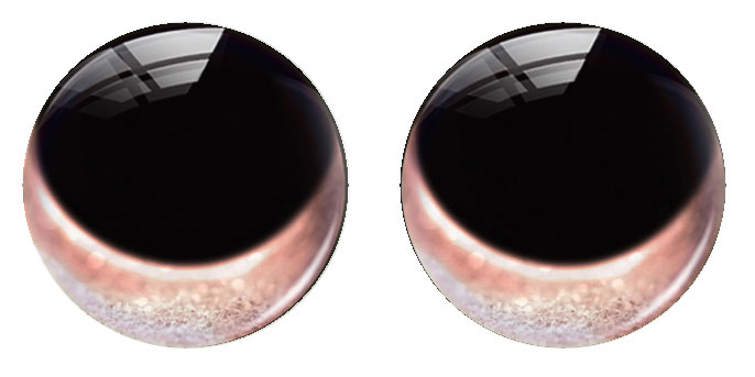 Ojos redondos hechos a mano pa - Art Craft Eyes reseña y precio