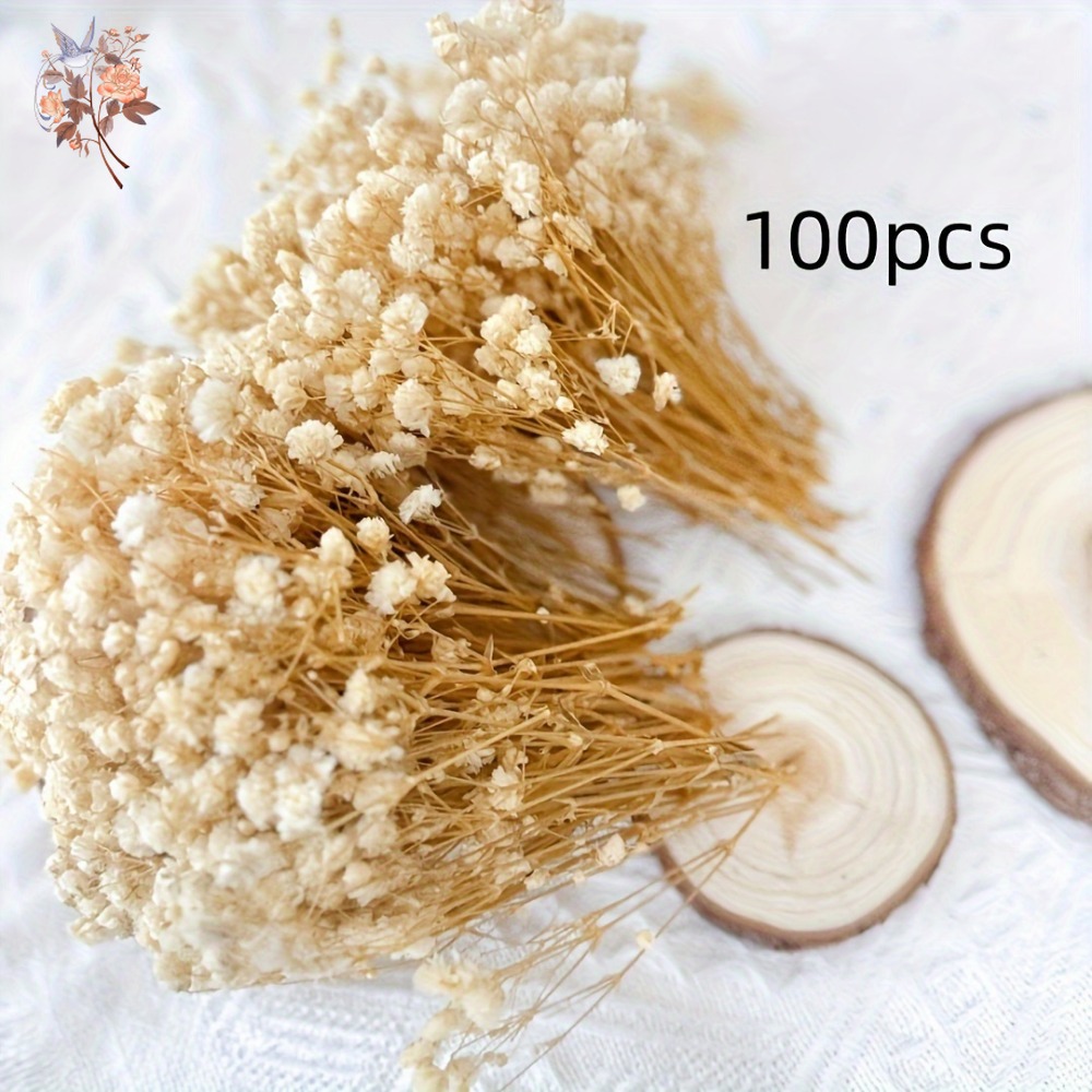 100 Piezas de Flores Secas de  - Art Craft Flower reseña y precio