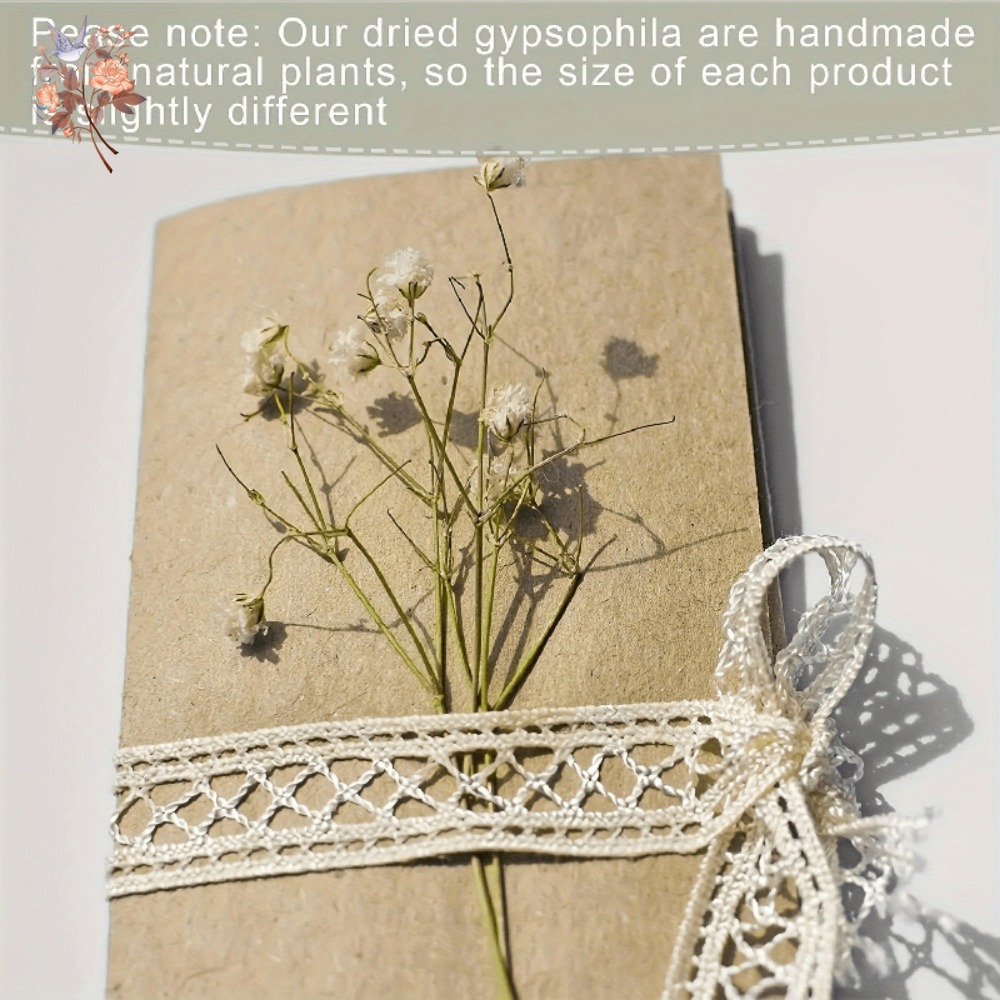 100 Piezas de Flores Secas de  - Art Craft Flower reseña y precio